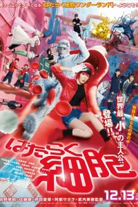  Клетки за работой 